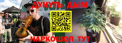 шишки Бердск
