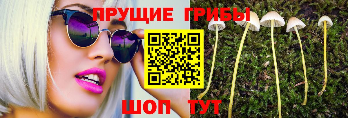Псилоцибиновые грибы MAGIC MUSHROOMS  Вход с VPN  Белгород 
