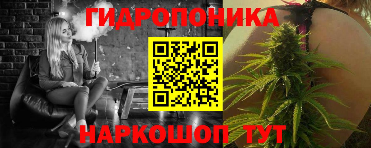 Конопля план Белгород